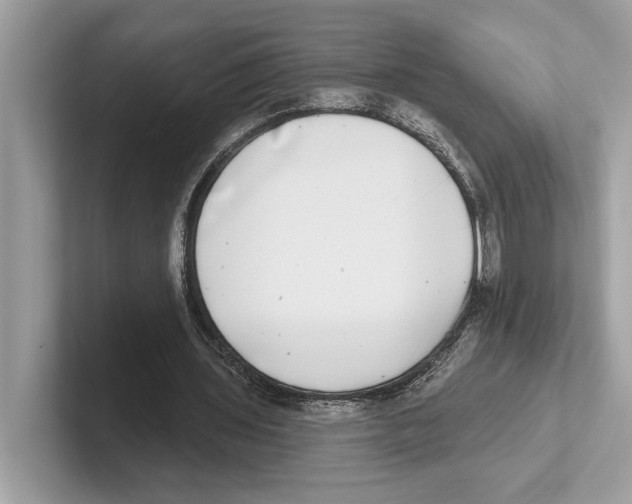 X0000100910435200807220954