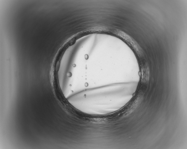 X0000100910436200807220954