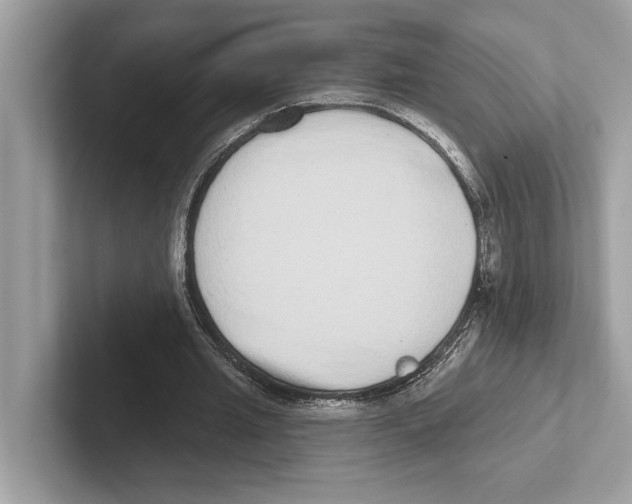 X0000100910437200807220954