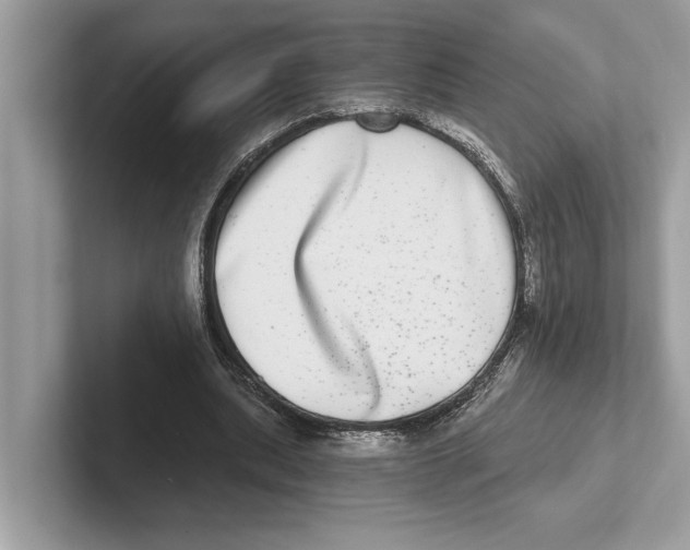 X0000100910439200807220954