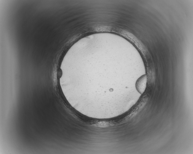 X0000100910441200807220954