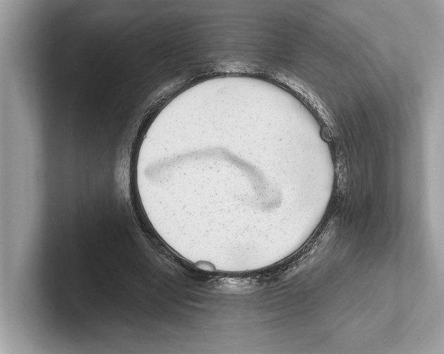 X0000100910442200807220954