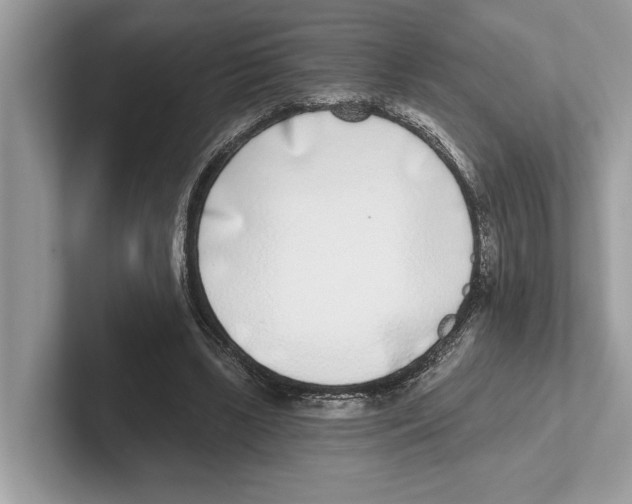 X0000100910443200807220954