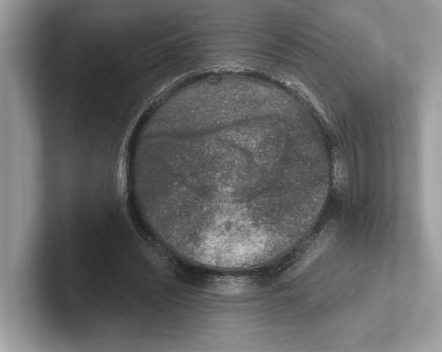 X0000100910444200807220954