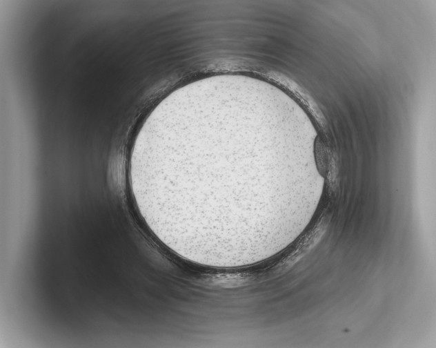 X0000100910445200807220954