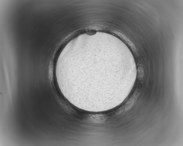 X0000100910446200807220954