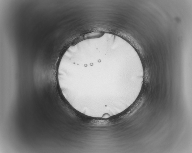 X0000100910449200807220954