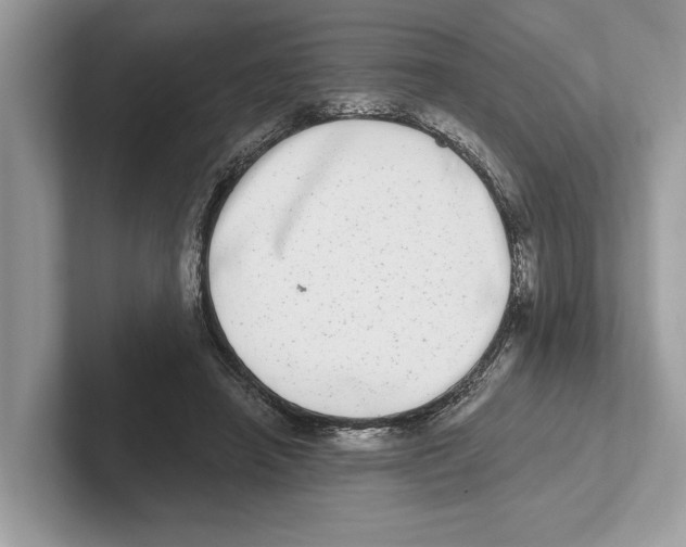 X0000100910450200807220954