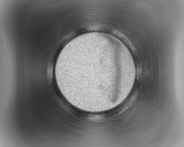 X0000100910454200807220954