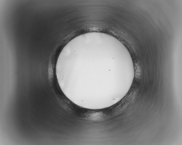 X0000100910456200807220954