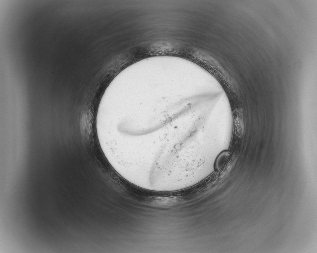 X0000100910458200807220954