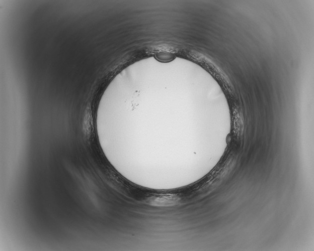 X0000100910459200807220954