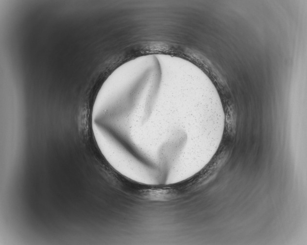 X0000100910462200807220954