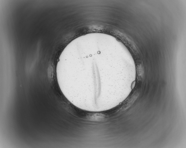 X0000100910463200807220954