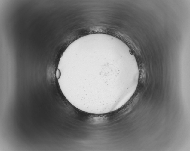 X0000100910466200807220954