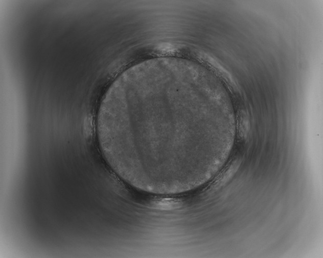 X0000100910467200807220954