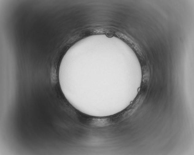 X0000100910469200807220954