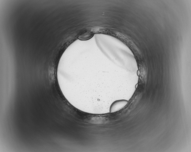 X0000100910470200807220954