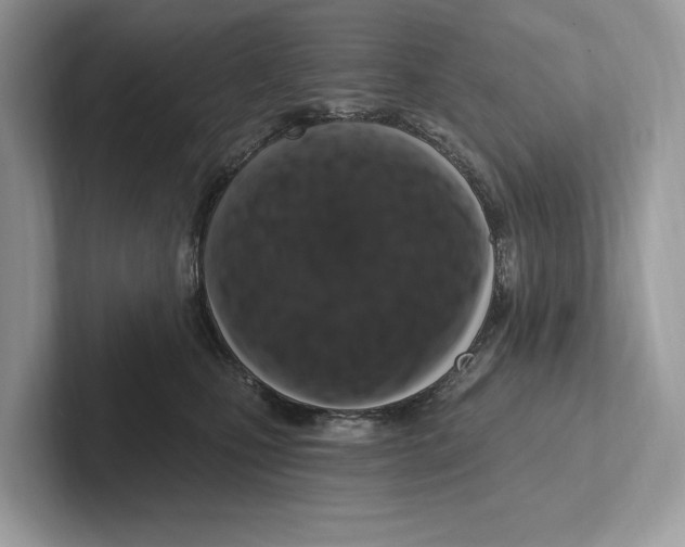 X0000100910471200807220954