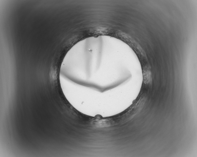 X0000100910472200807220954