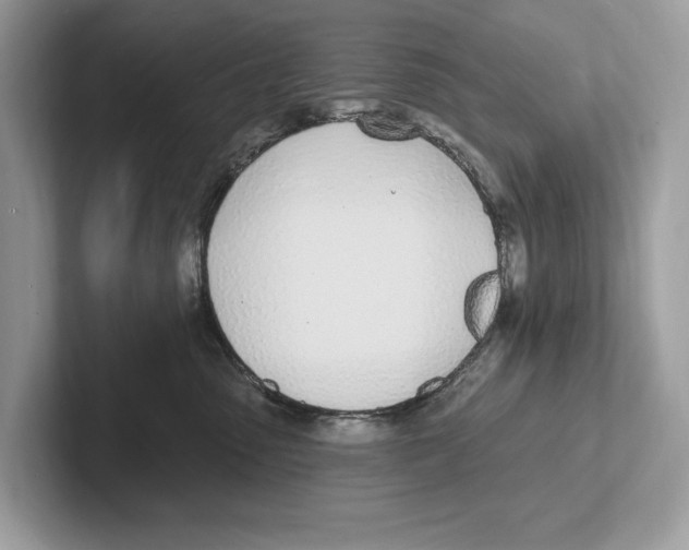 X0000100910475200807220954