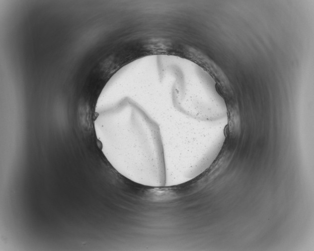 X0000100910477200807220954