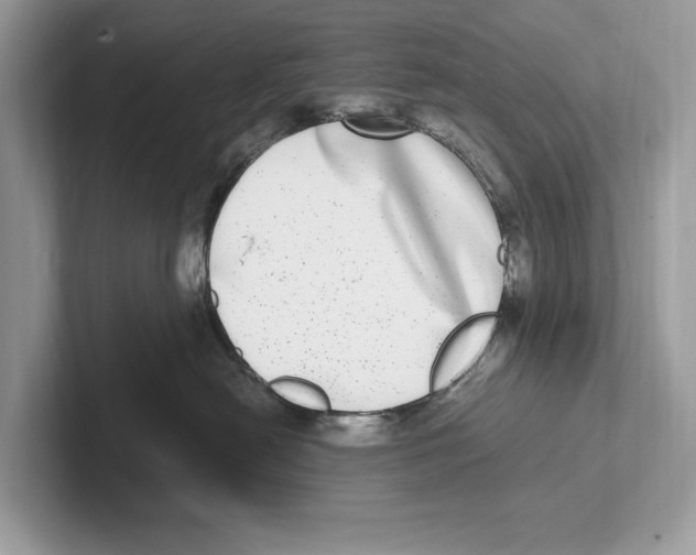 X0000100910478200807220954