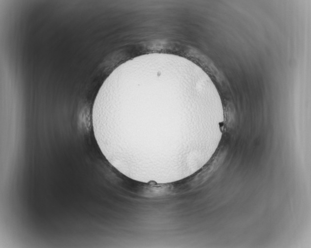 X0000100910479200807220954