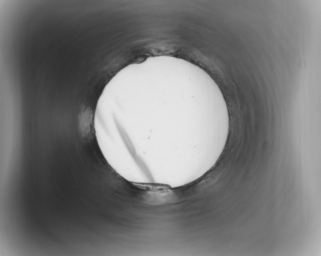 X0000100910480200807220954