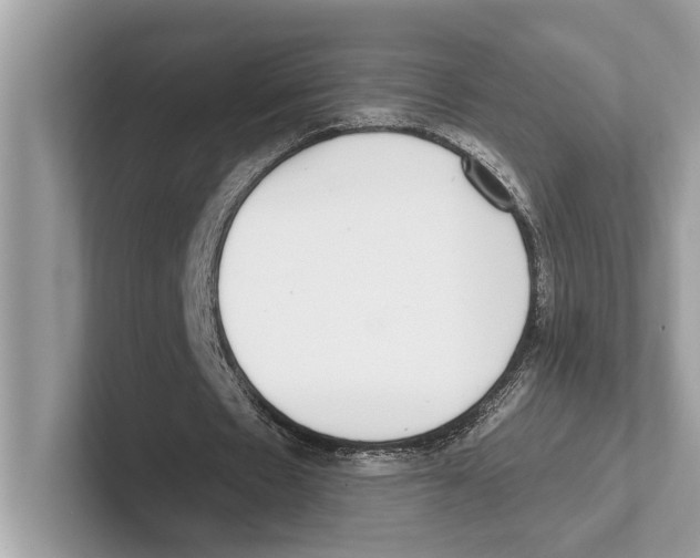 X0000100910481200807220954