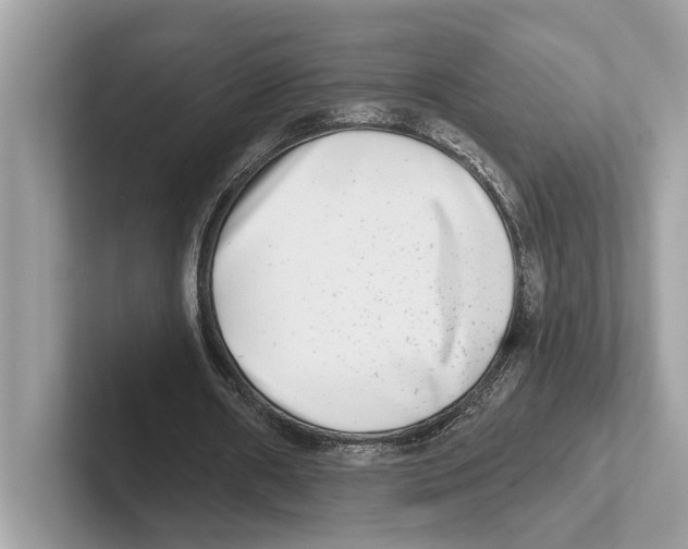 X0000100910482200807220954