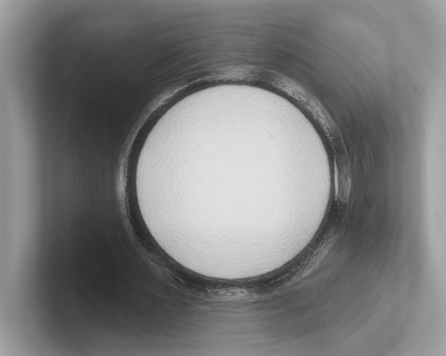 X0000100910483200807220954