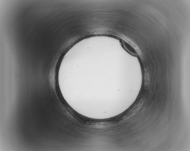 X0000100910485200807220954