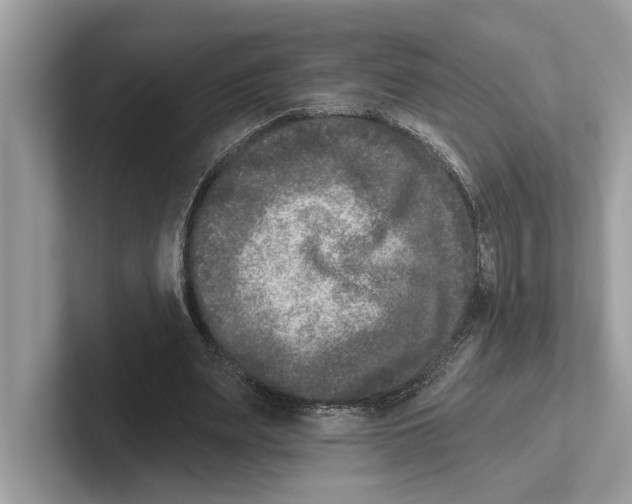 X0000100910487200807220954