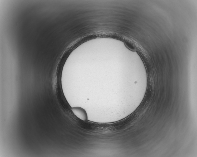 X0000100910488200807220954