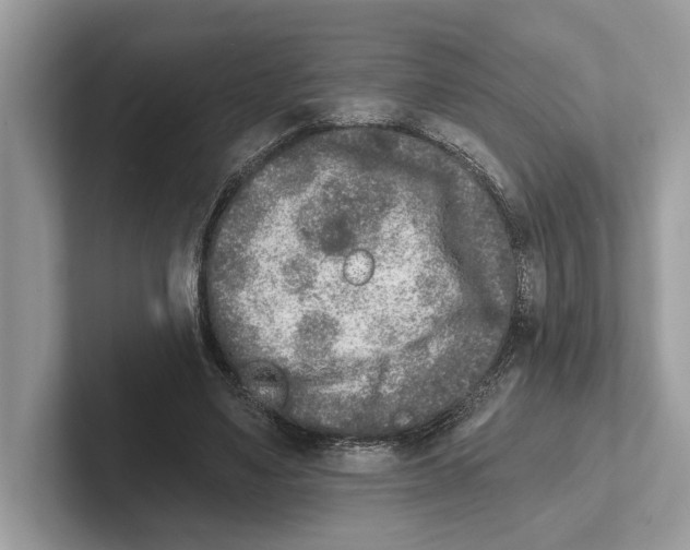 X0000100910491200807220953