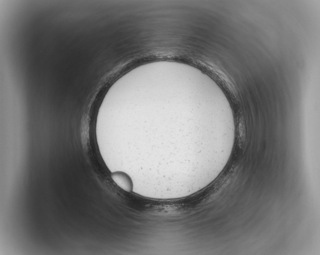 X0000100910492200807220953