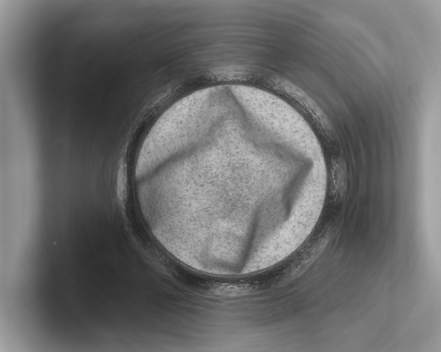 X0000100910494200807220953