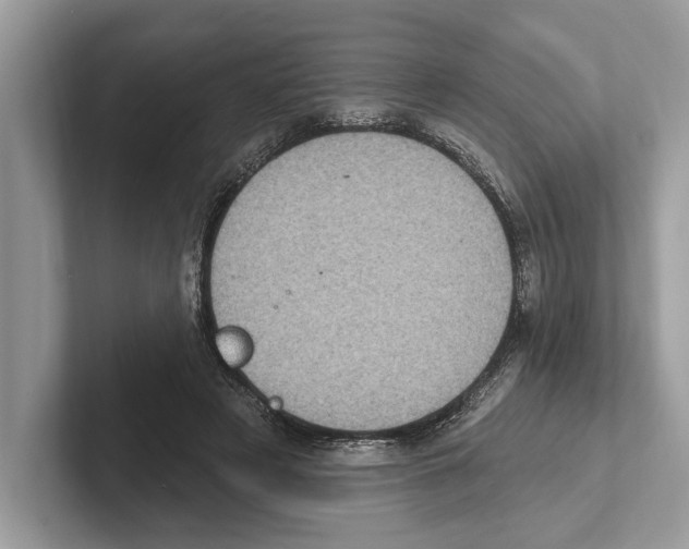 X0000100910497200807220953