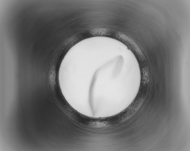 X0000100910498200807220953