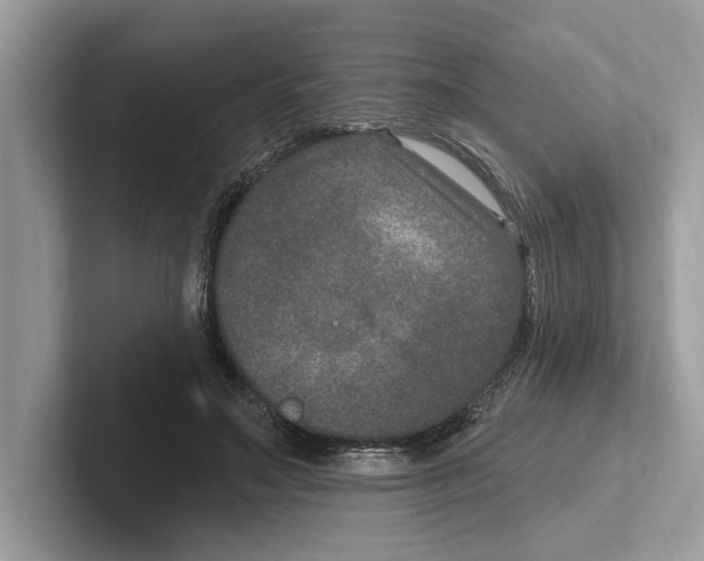 X0000100910499200807220953