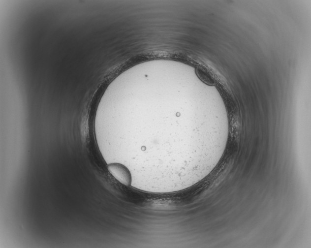 X0000100910500200807220953