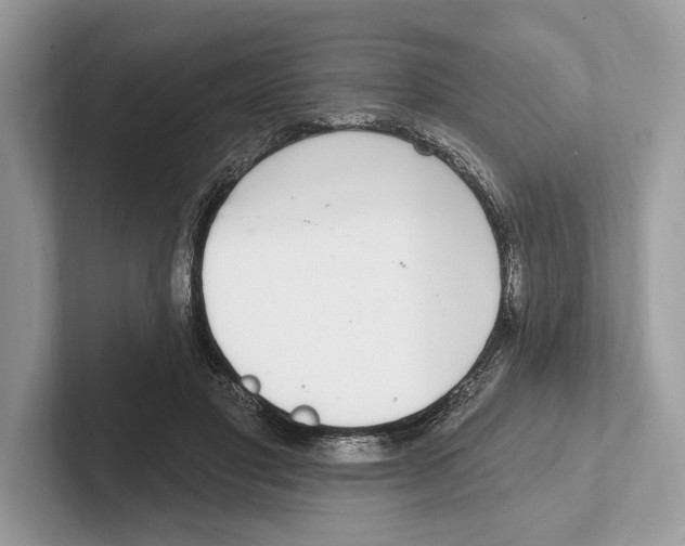 X0000100910501200807220953