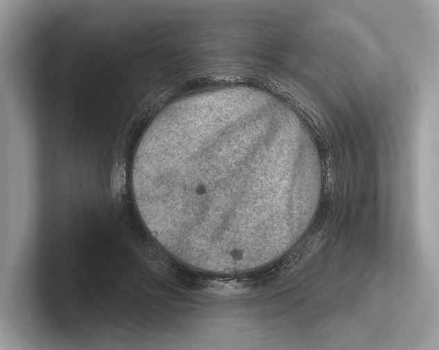 X0000100910502200807220953