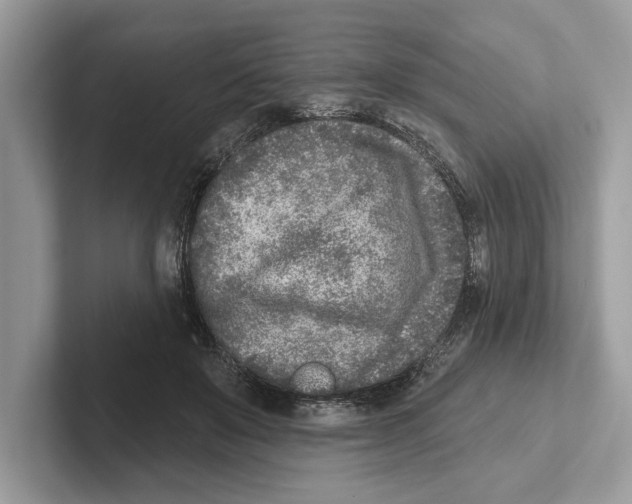 X0000100910503200807220953