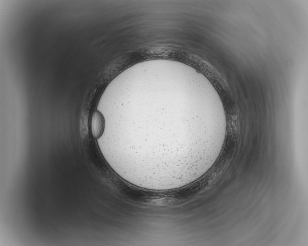 X0000100910504200807220953