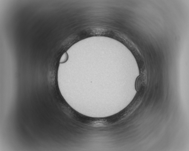 X0000100910505200807220953