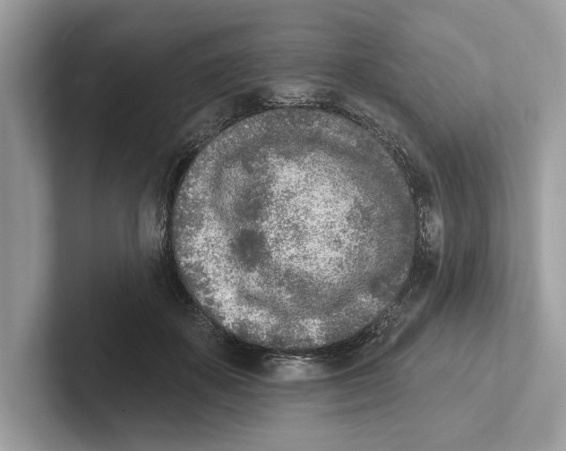 X0000100910507200807220953