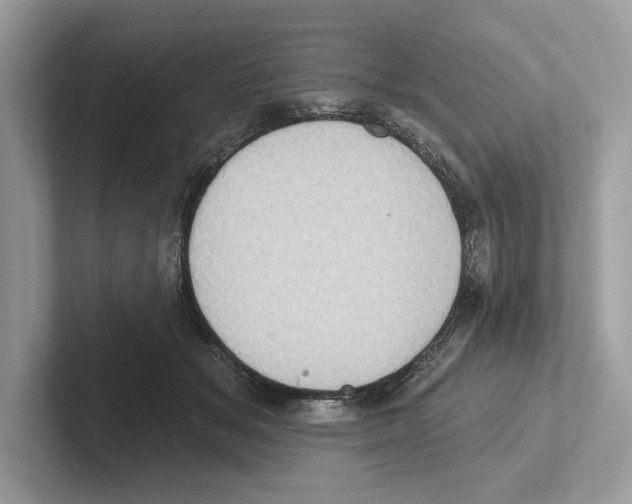 X0000100910509200807220953