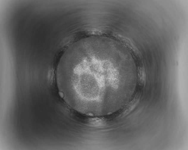 X0000100910511200807220953